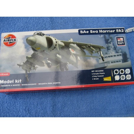 BAe Harrier Model Plane