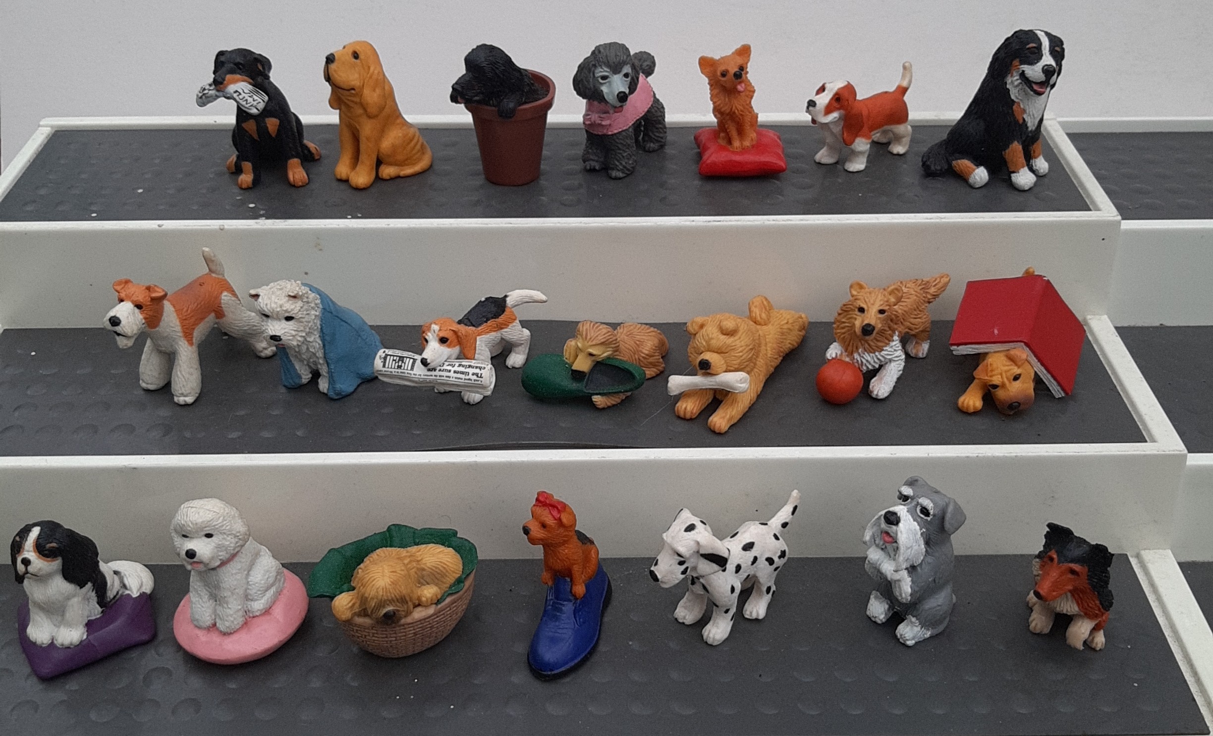 Job lot dog top toys