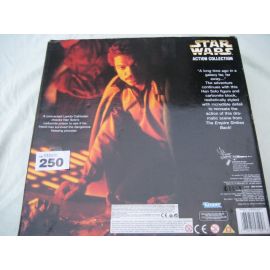 Star Wars Han Solo as Prisioner in Box