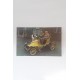 4 old POST Cards New of VINTAGE Cars